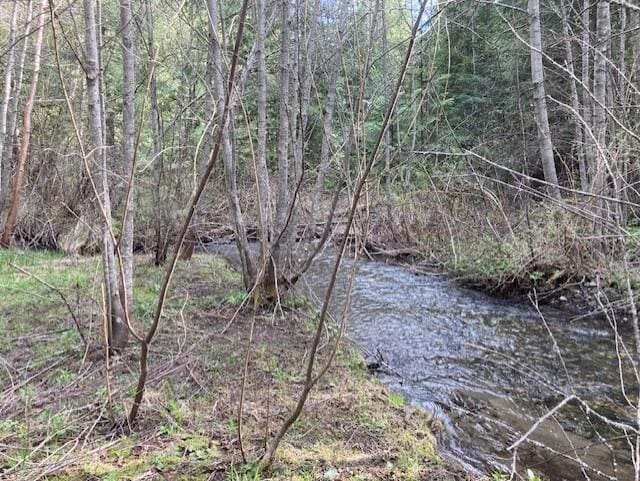 3121 Fifteen Mile Creek Rd, Kettle Falls, WA 99141 - view of nature