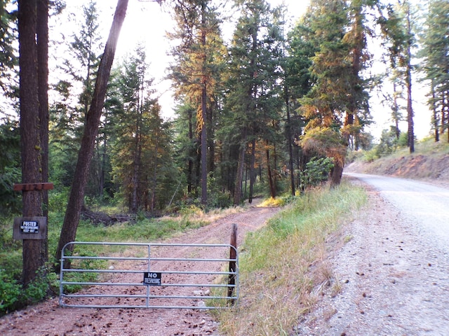 3121 Fifteen Mile Creek Rd, Kettle Falls, WA 99141 - view of street featuring a gate and a view of trees