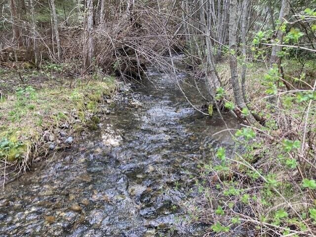 3121 Fifteen Mile Creek Rd, Kettle Falls, WA 99141 - view of landscape
