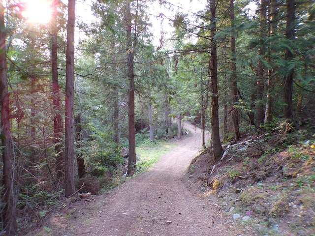 3121 Fifteen Mile Creek Rd, Kettle Falls, WA 99141 - view of street with a forest view