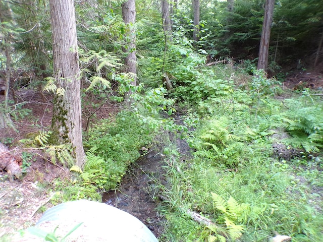 3121 Fifteen Mile Creek Rd, Kettle Falls, WA 99141 - view of landscape featuring a forest view