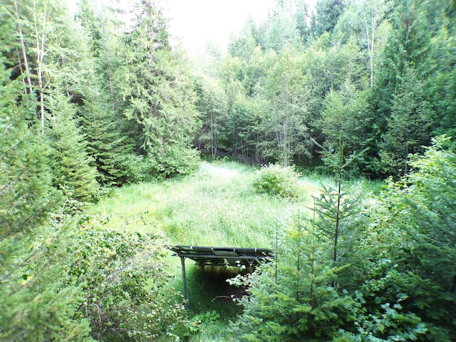 view of landscape with a wooded view