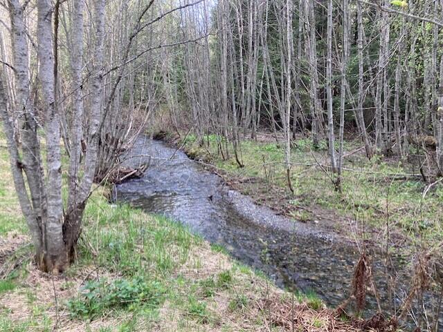 3121 Fifteen Mile Creek Rd, Kettle Falls, WA 99141 - view of local wilderness