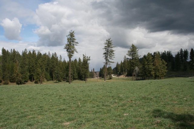 XX E Jumpoff Road, Valley, WA 99181 - photo 10
