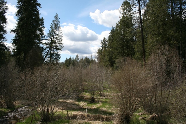 XX E Jumpoff Road, Valley, WA 99181 - photo 15