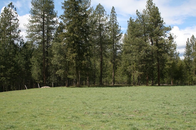 XX E Jumpoff Road, Valley, WA 99181 - photo 9