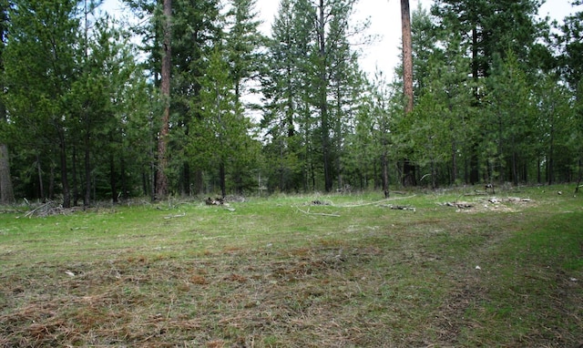 XX E Jumpoff Road, Valley, WA 99181 - photo 19