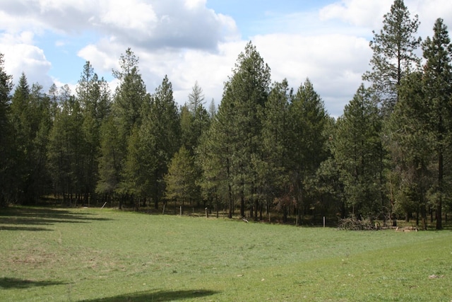 XX E Jumpoff Road, Valley, WA 99181 - photo 8