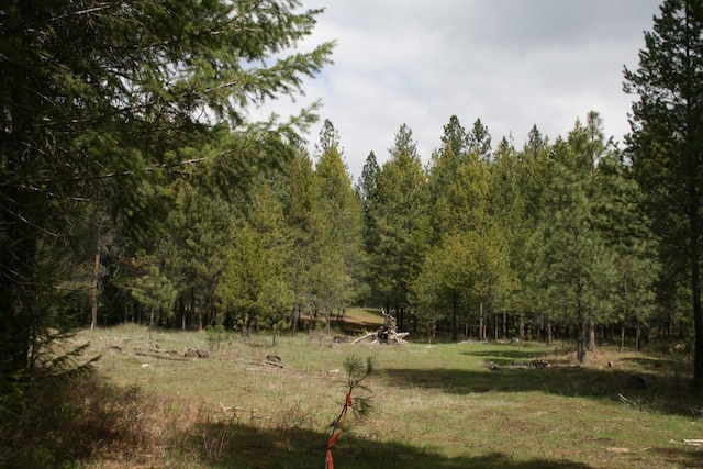XX E Jumpoff Road, Valley, WA 99181 - photo 17