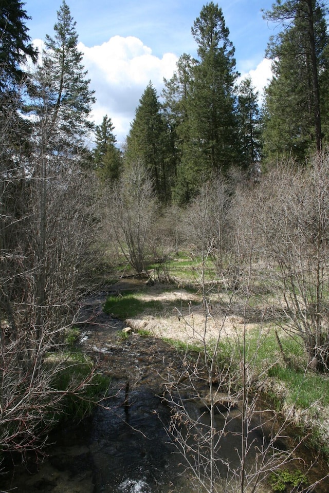 XX E Jumpoff Road, Valley, WA 99181 - photo 13