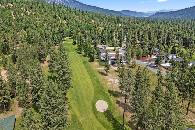 250 Hogans Way, Chewelah, WA 99109 - view of property location featuring a forest and a mountainous background