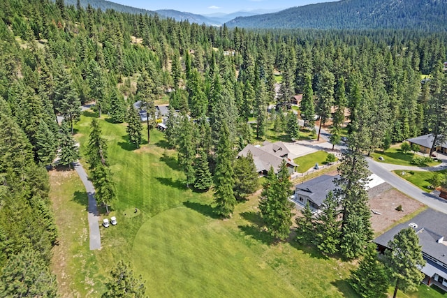 250 Hogans Way, Chewelah, WA 99109 - aerial view of a forest and a mountain backdrop