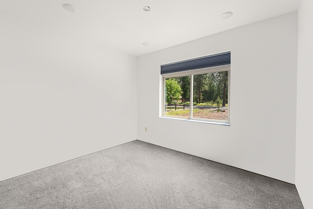 250 Hogans Way, Chewelah, WA 99109 - view of carpeted spare room
