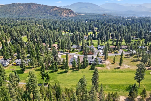 250 Hogans Way, Chewelah, WA 99109 - aerial view of property and surrounding area featuring a mountain backdrop and a forest