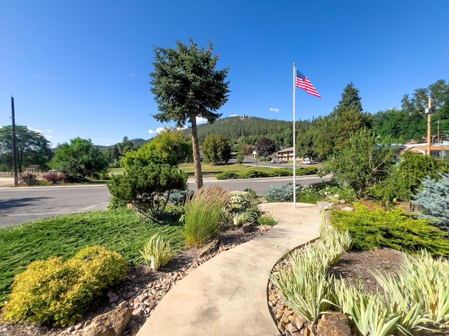160 E 7th Ave, Colville, WA 99114 - photo 5