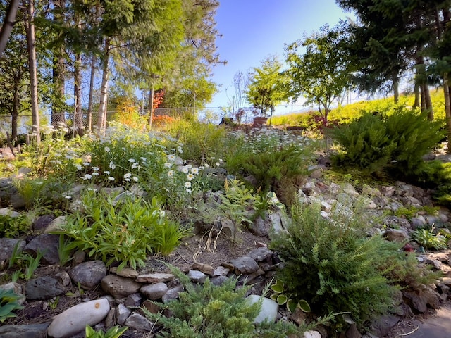 160 E 7th Ave, Colville, WA 99114 - photo 31