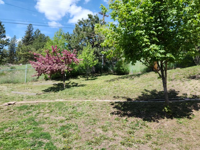 1023 N Adams St, Republic, WA 99166