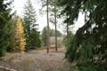 LOT7 Dahl Rd, Deer Park, WA 99006 - photo 1