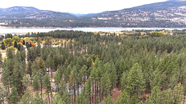 1477D College Ln, Kettle Falls, WA 99141 - photo 28