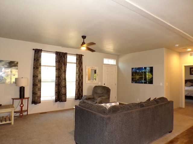 1477D College Ln, Kettle Falls, WA 99141 - photo 9