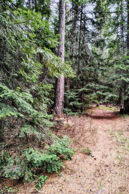 2221 Cedonia Addy Rd, Addy, WA 99101 - photo 48
