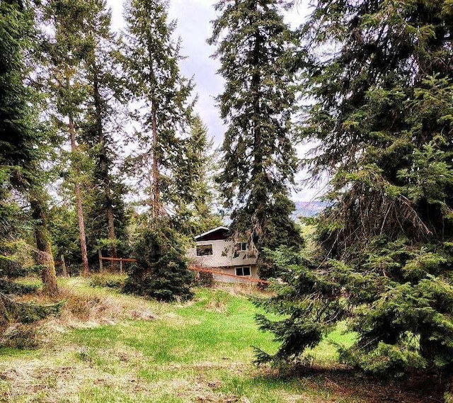 2221 Cedonia Addy Rd, Addy, WA 99101 - photo 45