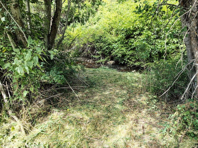 2221 Cedonia Addy Rd, Addy, WA 99101 - photo 35