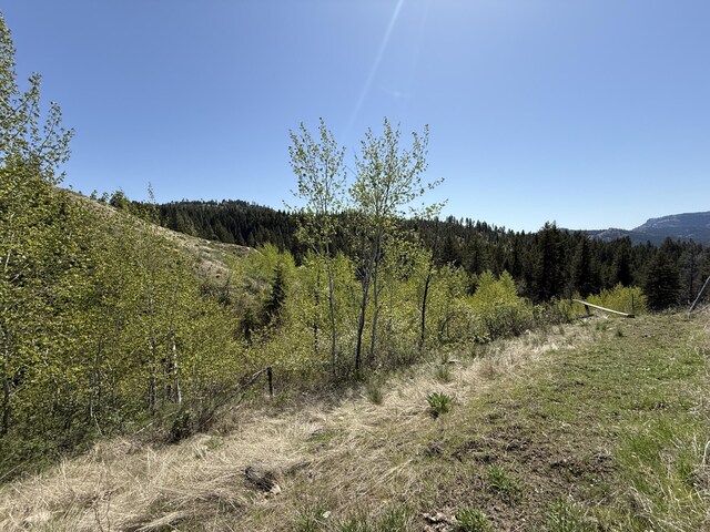 26 Grandview Rd, Curlew, WA 99118