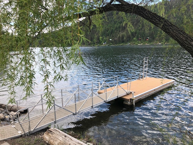 2952 Deep Lake Boundary Rd, Colville, WA 99114 - dock featuring a view of trees and a water view