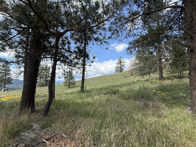 108 Grizzly Loop, Republic, WA 99166 - view of local wilderness