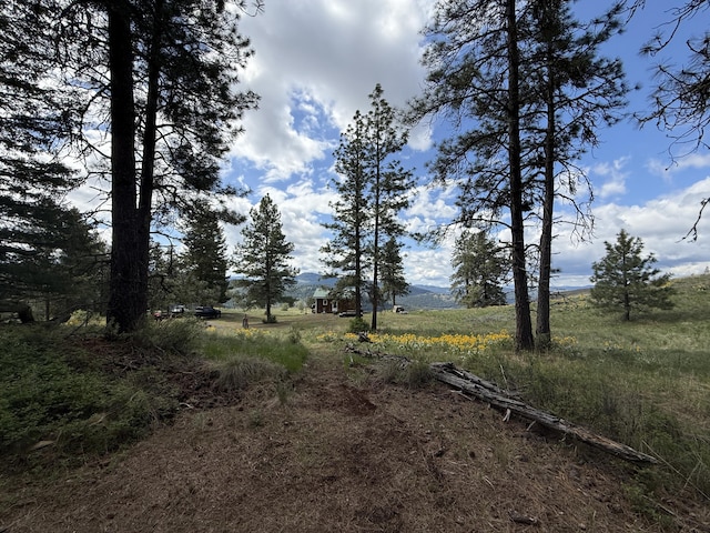 108 Grizzly Loop, Republic, WA 99166 - view of yard with a view of rural / pastoral area