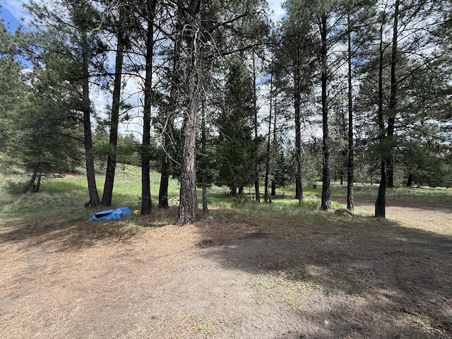 108 Grizzly Loop, Republic, WA 99166 - view of undeveloped land