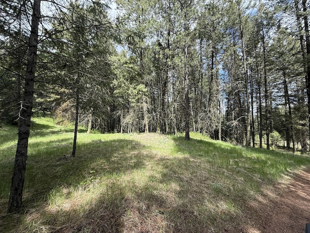108 Grizzly Loop, Republic, WA 99166 - view of tree filled area