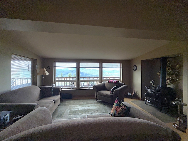 108 Grizzly Loop, Republic, WA 99166 - living area with lofted ceiling