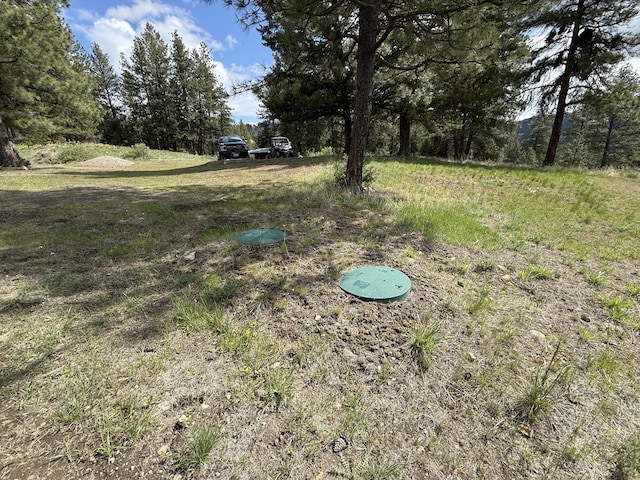 108 Grizzly Loop, Republic, WA 99166 - view of yard