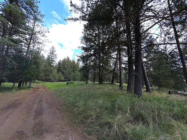 108 Grizzly Loop, Republic, WA 99166 - view of street