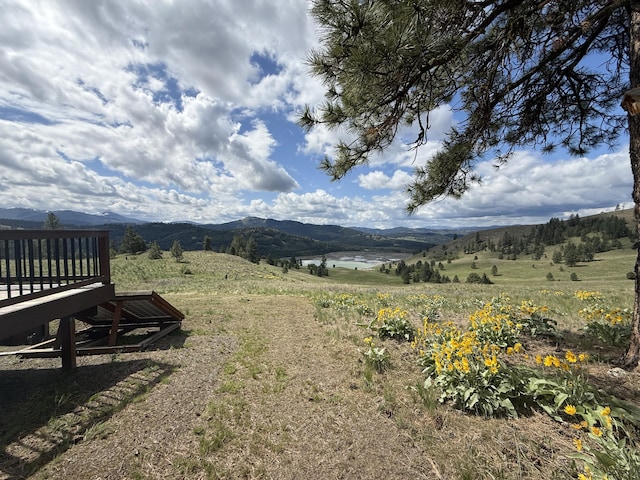 108 Grizzly Loop, Republic, WA 99166 - view of yard with a mountain view