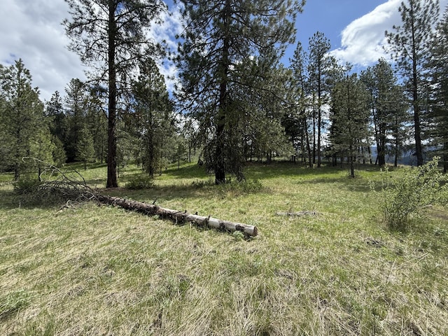 108 Grizzly Loop, Republic, WA 99166 - view of yard