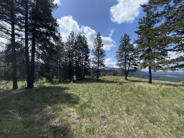 108 Grizzly Loop, Republic, WA 99166 - view of yard