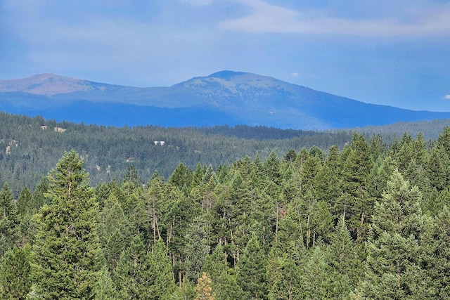 822 Barzee Rd, Colville, WA 99114 - photo 57
