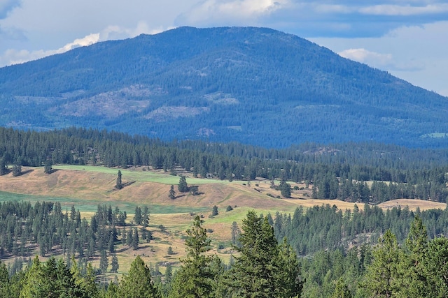 822 Barzee Rd, Colville, WA 99114 - photo 58