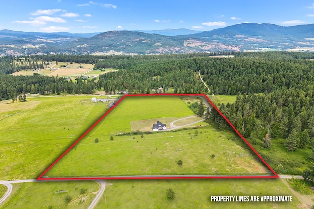 822 Barzee Rd, Colville, WA 99114 - photo 55