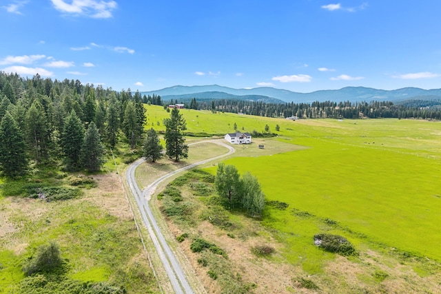 822 Barzee Rd, Colville, WA 99114 - photo 54