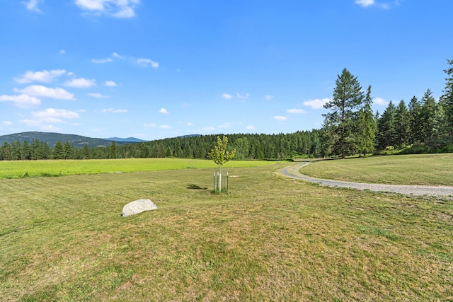 822 Barzee Rd, Colville, WA 99114 - photo 50