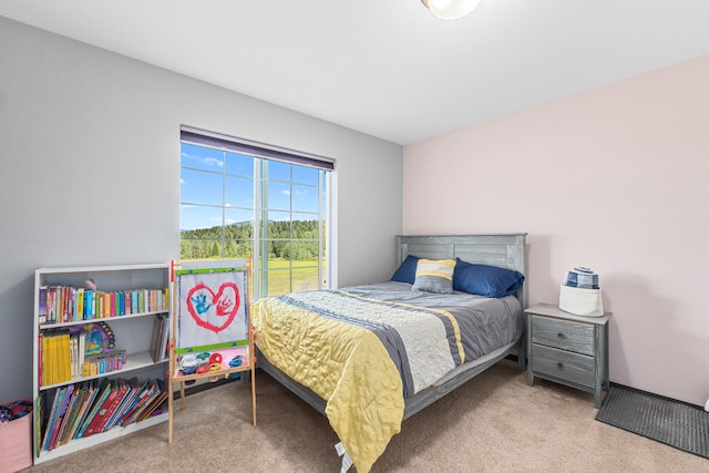 822 Barzee Rd, Colville, WA 99114 - photo 33