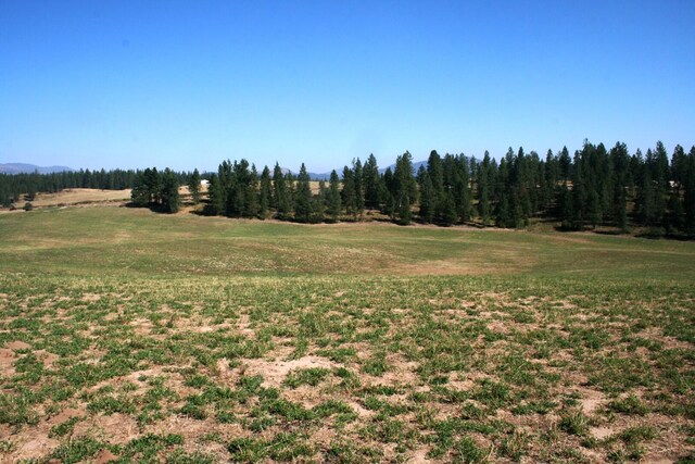 5203 Olinger Rd, Springdale, WA 99173 - photo 23