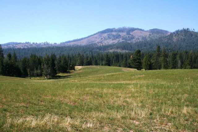 5203 Olinger Rd, Springdale, WA 99173 - photo 9