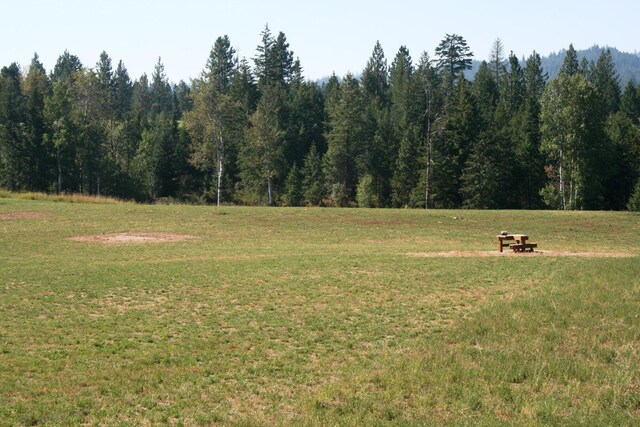 5203 Olinger Rd, Springdale, WA 99173 - photo 7