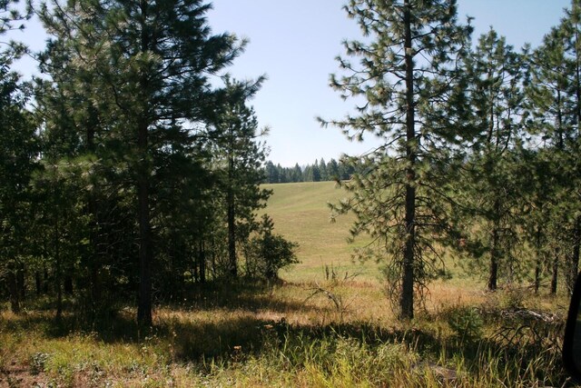 5203 Olinger Rd, Springdale, WA 99173 - photo 4