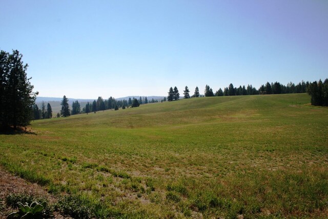 5203 Olinger Rd, Springdale, WA 99173 - photo 5